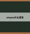 seeyou什么意思