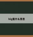 big是什么意思