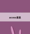 access意思