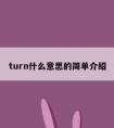 turn什么意思的简单介绍