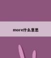 more什么意思