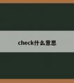 check什么意思