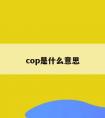 cop是什么意思