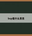 bsp是什么意思