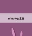 mind什么意思