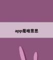 app是啥意思