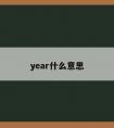 year什么意思