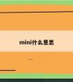 mini什么意思