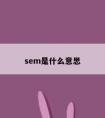 sem是什么意思