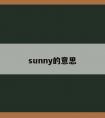 sunny的意思