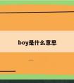 boy是什么意思