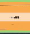 Gay意思