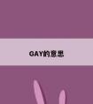 GAY的意思