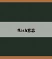 flash意思