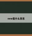 new是什么意思