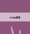 crazy意思