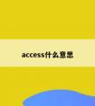 access什么意思