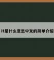 it是什么意思中文的简单介绍