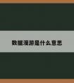 数据漫游是什么意思