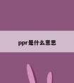 ppr是什么意思