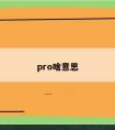 pro啥意思