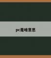 pc是啥意思