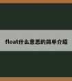 float什么意思的简单介绍