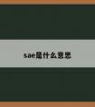 sae是什么意思