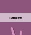 dnf是啥意思