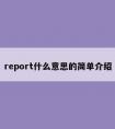 report什么意思的简单介绍