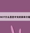 NOT什么意思中文的简单介绍