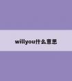 willyou什么意思