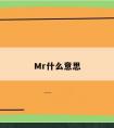 Mr什么意思